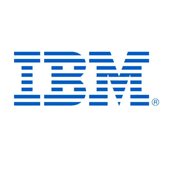 IBM partner
